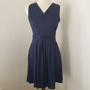 Banana Republic Navy Fit and Flare Dress 4P